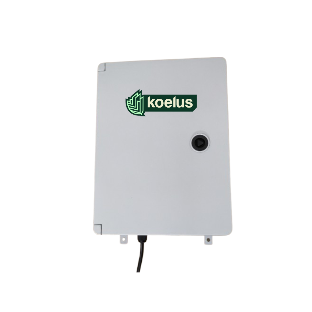 Koelus Box