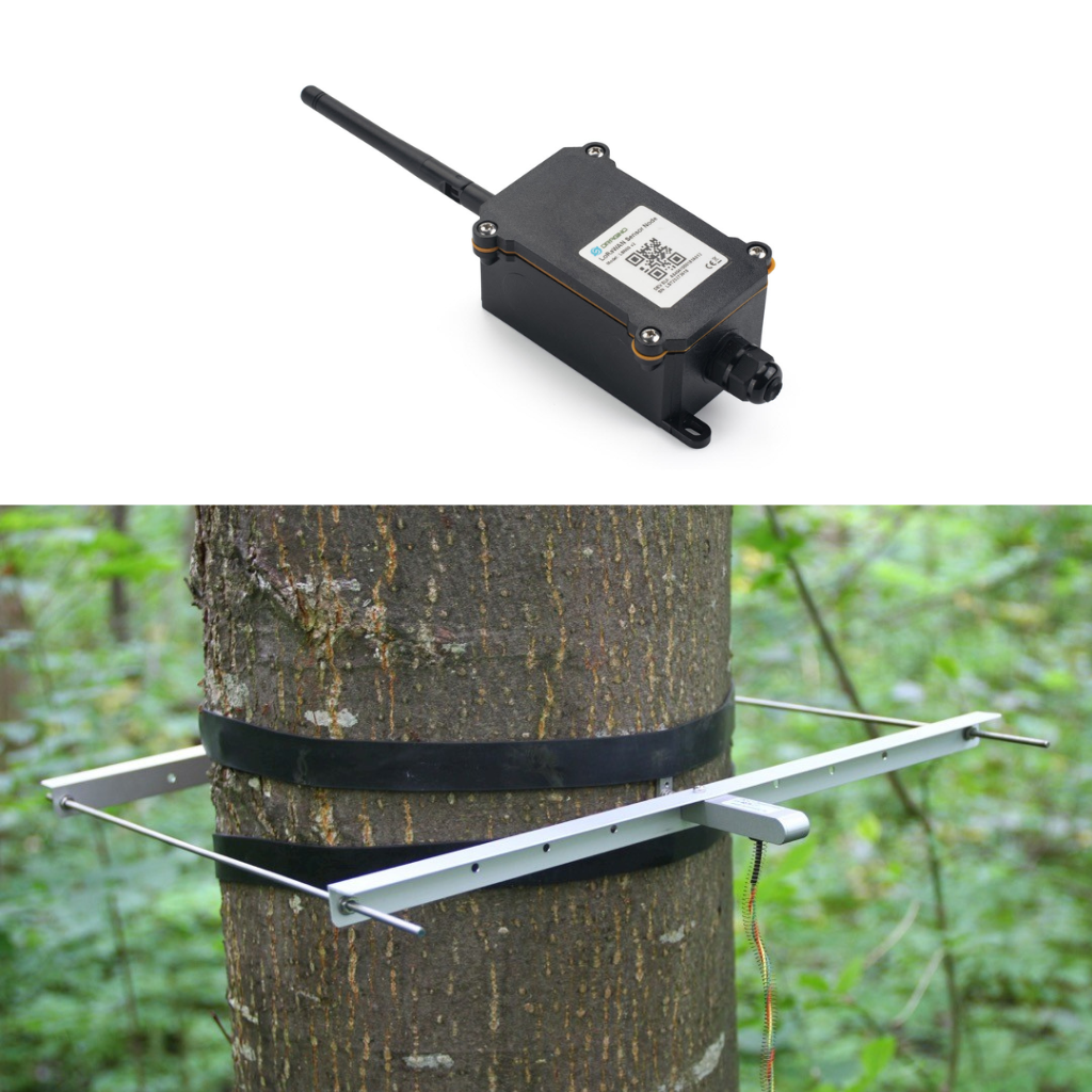 Koelus Dendrómetro DDL2